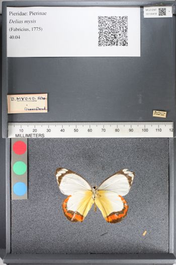 Media type: image;   Entomology 130418
